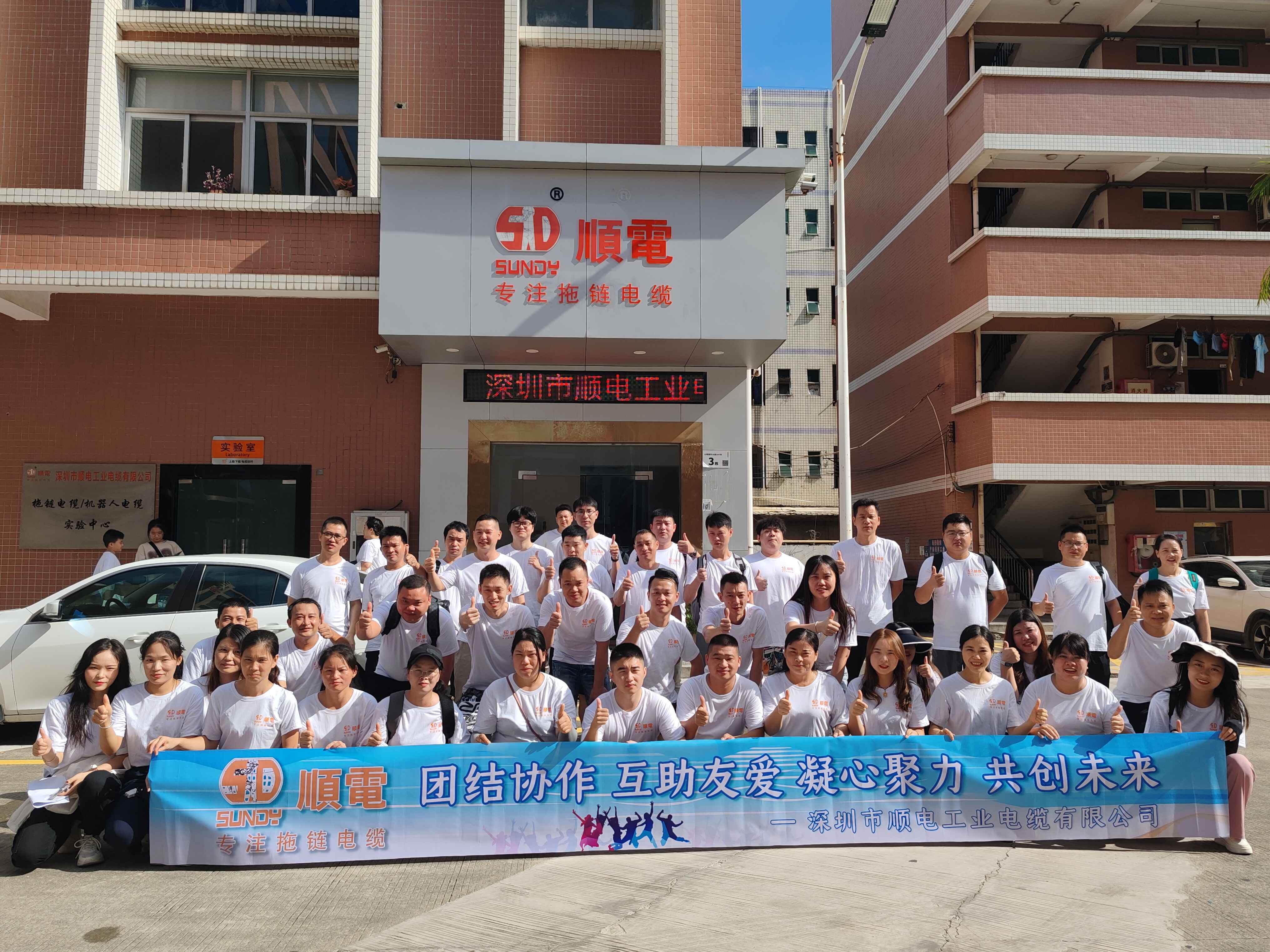 探索極致暢玩，順電獨(dú)特海島之旅！   